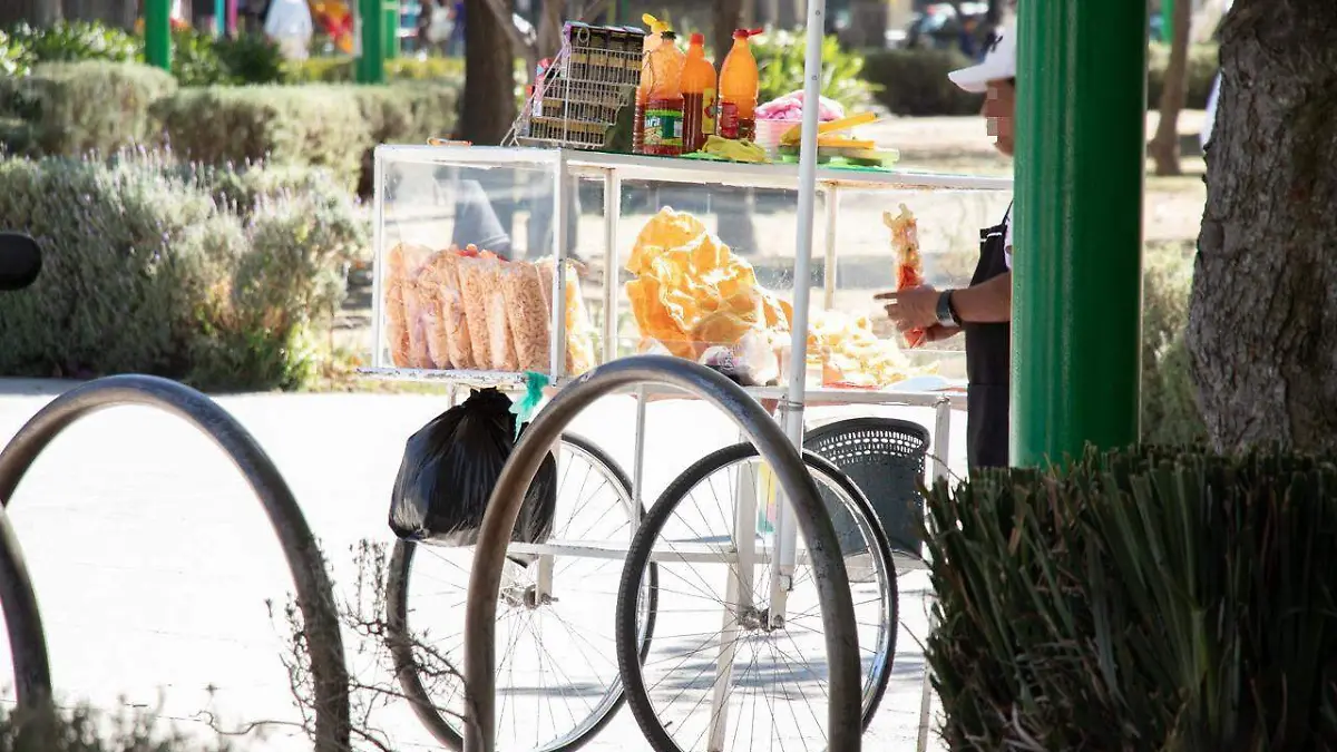 alimentos alameda toluca